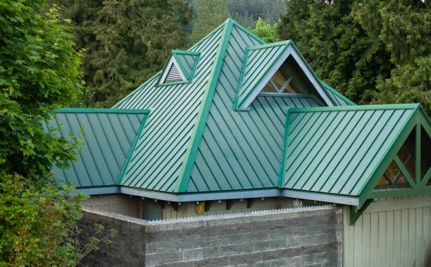 Best Roof Insulation Installation  in Homeland, GA