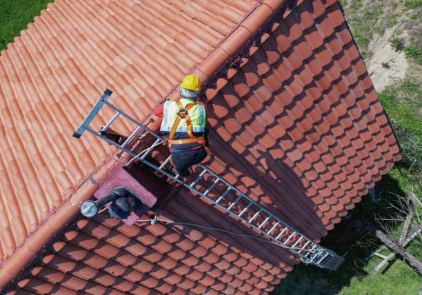 Best Chimney Flashing Repair  in Homeland, GA
