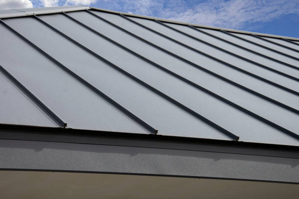 Best Metal Roofing Installation  in Homeland, GA