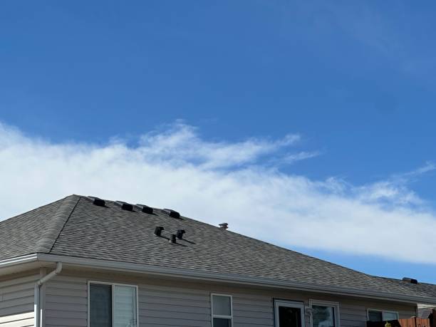 Best Asphalt Shingles Roofing  in Homeland, GA